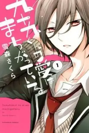 Portada de Tsukumo-kun no Ai wa Machigatte Iru