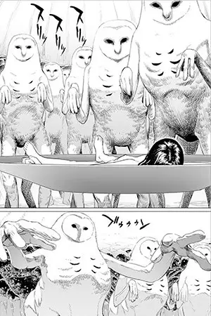 Portada de Fukerou no Yubi