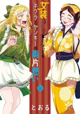 Portada de Crossplay Love Otaku X Punk