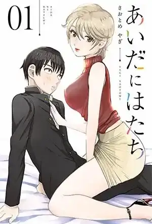 Portada de Aida Ni Hatachi