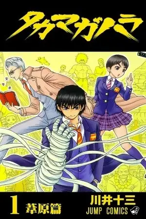 Portada de Takamagahara
