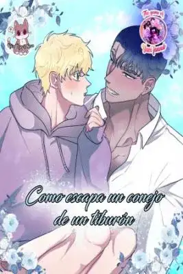 Portada de El Novio Tiburon Y La Novia Coneja