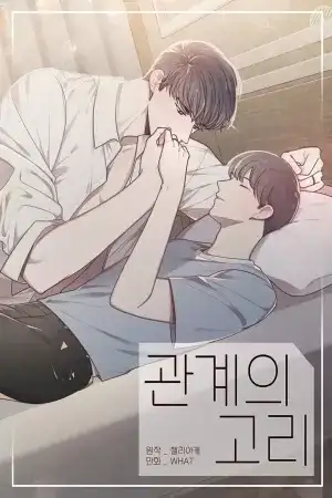 Portada de Relationship Link
