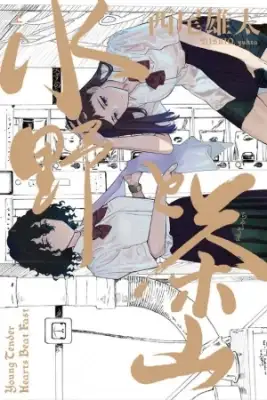 Portada de Mizuno To Chayama