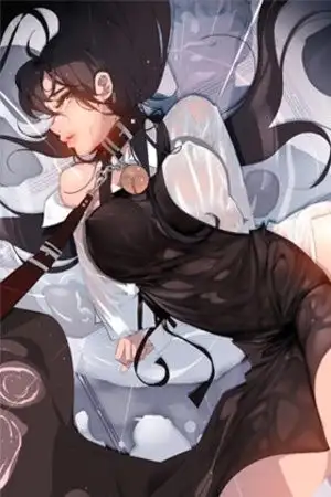 Portada de Rain Curtain