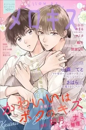 Portada de Kawaii wa Boku no Kizu