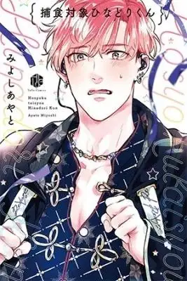 Portada de Hosyoku Taisyou Hinadori Kun