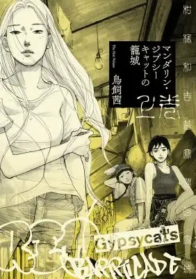 Portada de Mandarin Gypsy Cat No Roujou