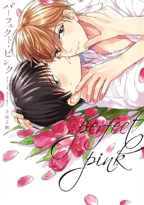 Portada de Perfect Pink