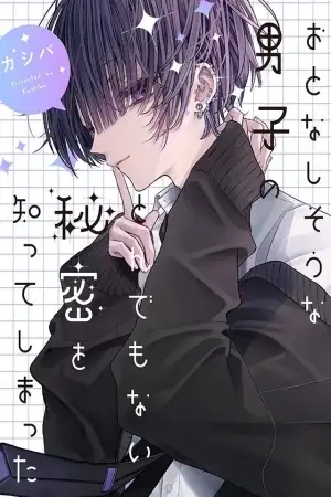 Portada de El misterio del chico tranquilo