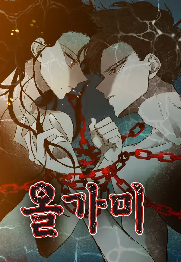Portada de Olgami