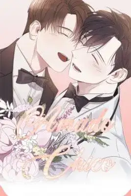 Portada de Lover Boy Amado Chico