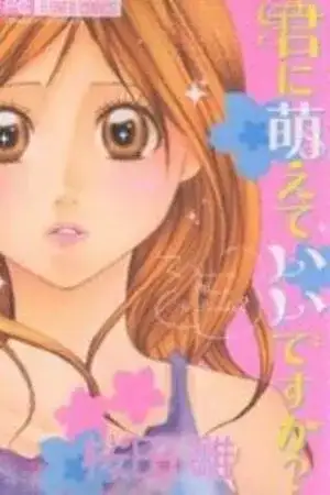 Portada de Kimi ni Moete Ii desu ka?