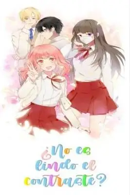 Portada de No Es Lindo El Contraste