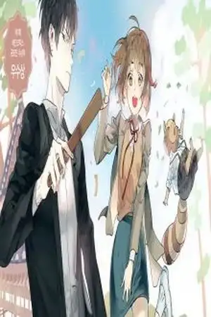 Portada de Flower Wizard