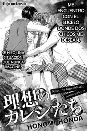 Portada de Risou no Kareshitashi
