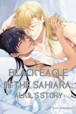 Portada de Black Eagle In The Sahara Alkil S Story