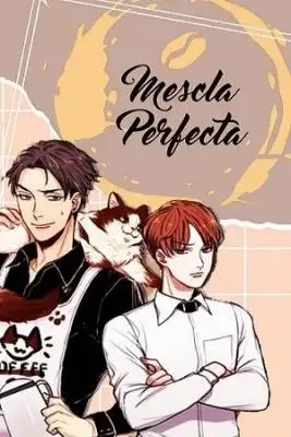 Portada de Mezcla Perfecta