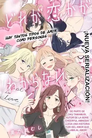 Portada de No sé cuál es amor