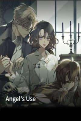 Portada de Angel S Use