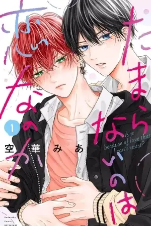 Portada de Tamaranai No Wa Koi Na No Ka