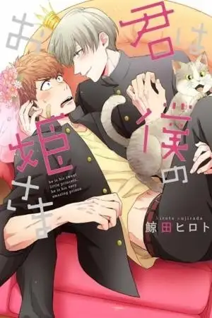 Portada de Kimi wa Boku no Ohimesama
