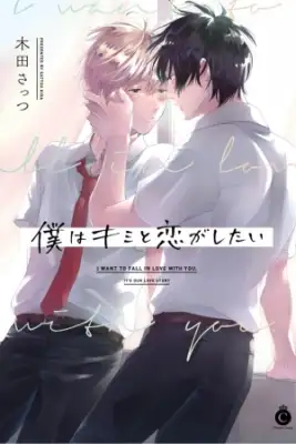 Portada de Boku Wa Kimi To Koi Ga Shitai