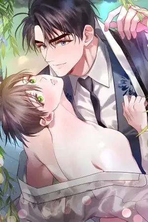 Portada de Willow Love Story