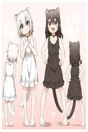 Portada de La Gata Negro y La Gata Blanca