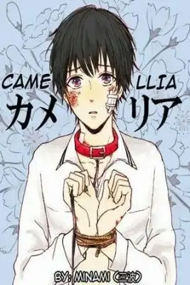 Portada de Camellia Yaoi