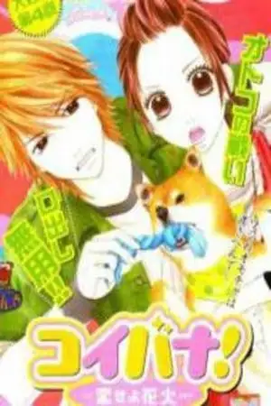 Portada de Koibana! Koiseyo Hanabi