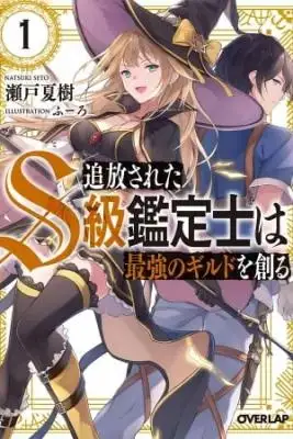 Portada de Tsuihousareta S Kyuu Kanteishi Wa Saikyou No Guild Wo Tsukuru