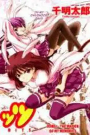 Portada de Inaba Rabbits