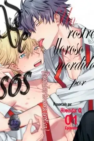 Portada de Hoezura ni Kamitsuku Kisu
