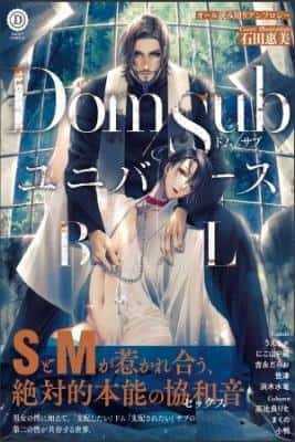 Portada de Antologia Dom Sub Universe Bl