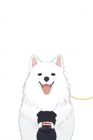 Portada de Cuentos de animales de AMAN