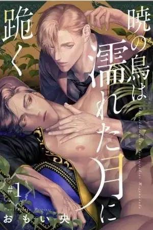 Portada de akatsuki no tori ha nureta tsuki ni hizamazuku