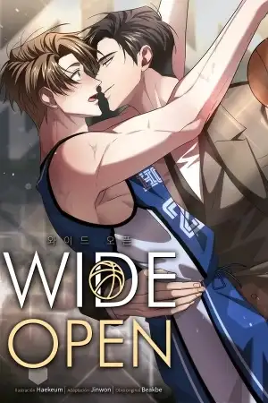Portada de Wide Open