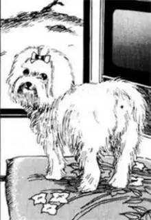 Portada de Dog Diary Ito Junji