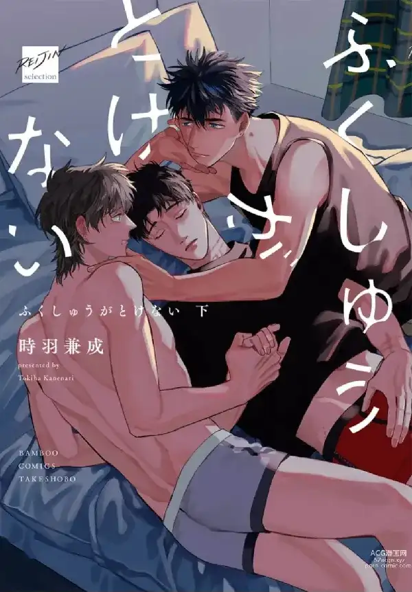 Portada de Fukushuu Ga Tokenai
