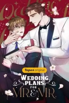 Portada de Planes De Boda Para El Sr Y El Sr