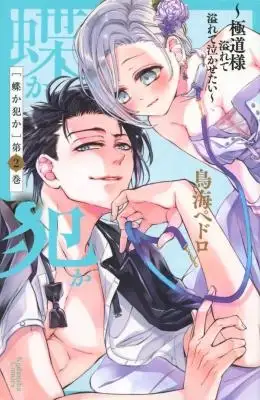 Portada de Chouka Han Ka Gokudou Sama Afurete Afurete Naka Setai