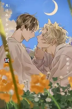 Portada de MANGAS BL LINDOS