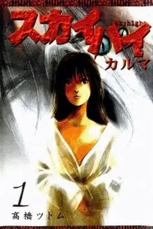 Portada de Skyhigh Karma