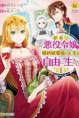 Portada de Wakeari Akuyaku Reijou Ha Kon Yaku Hakigo No Jinsei Wo Jiyuu Ni Ikiru