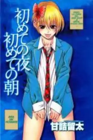 Portada de First Night First Morning