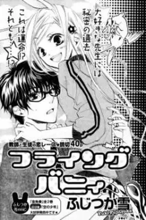 Portada de Flying Bunny