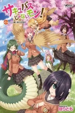 Portada de I am not a Succubus!