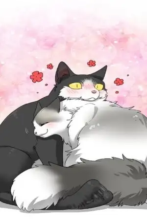 Portada de Sesame & Ricecake