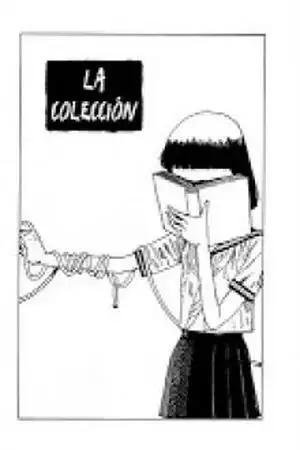 Portada de La colección